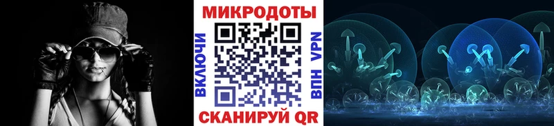 Псилоцибиновые грибы Cubensis  Купить закладки  Приволжский 