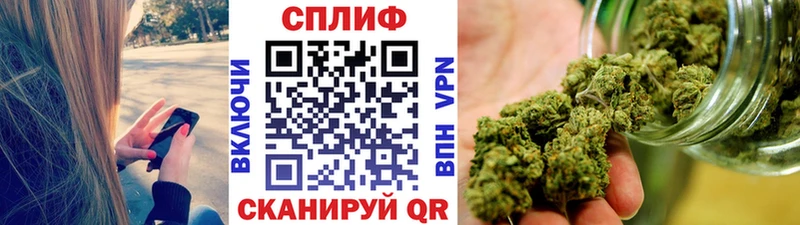 Купить Приволжский Каннабис гибрид